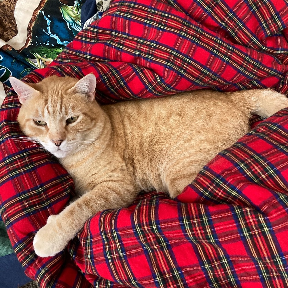 Meet your Posher, Leslie